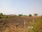 Agriculture Land in Pedmi