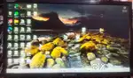 Zebronic Monitor,  HDMI screen 19 inch