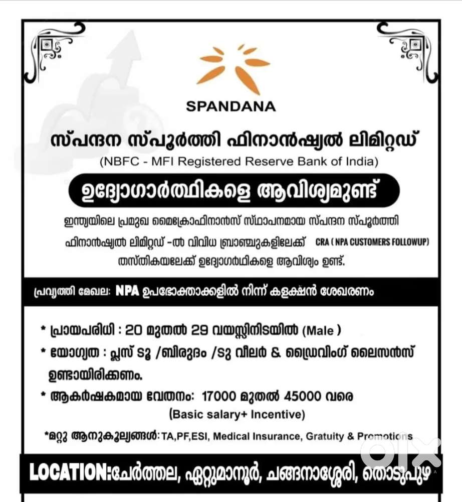 NPA Recovery Exicutive