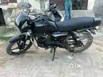 Black Splendor