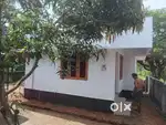 Nedumbassery near athani parambayam 1 bhk independent house for rent