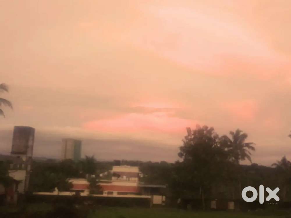 Tution for all subjects