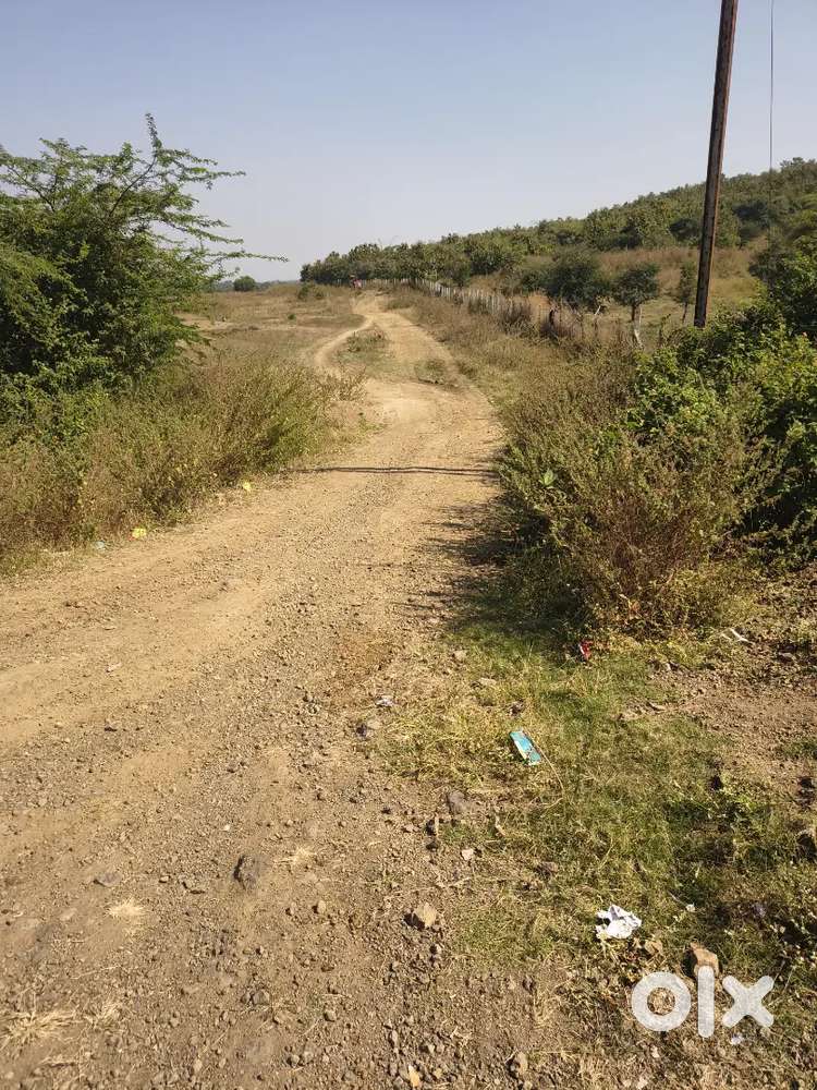 300 Acre land sell In panna district