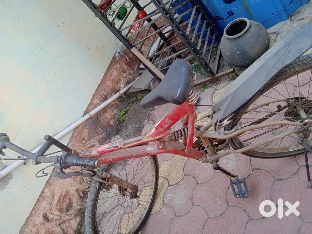 X sports brand cycle