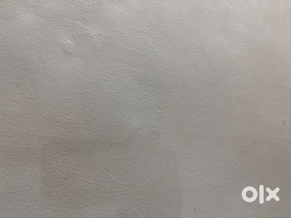 wanted tution tutor female for cbse 3rd standand especially for hindi