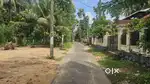 മാവേലിക്കര കണ്ടിയൂരിൽ ഹൗസ് പ്ലോട്ടുകൾ വിൽപ്പനക്ക്
