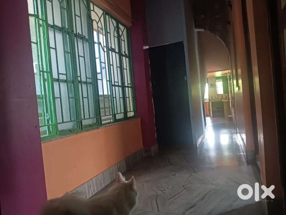 কন্টাক নাম্বার - ৬২৯০৬৭১৩৪৮