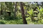20 സെൻറ് സ്ഥലം വിൽപ്പനക്ക് ചെറുകുന്ന് വെള്ളറങ്ങ ലിൽ