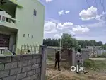 Ground floor house for rent