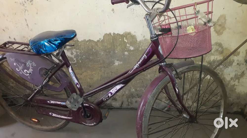 Ladies cycle