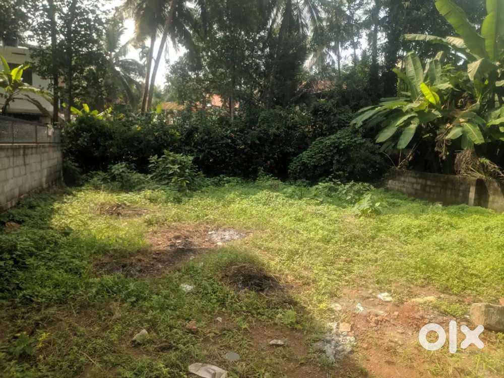 4.25 cent house plot for sale near karuvasseri