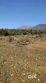 Land for sale in katra