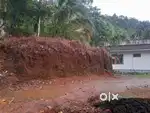 30 Cent Land with 3BHK House for Sale at Valavucodu Mamarathu Motta