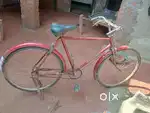 हीरो गोल्ड साइकिल