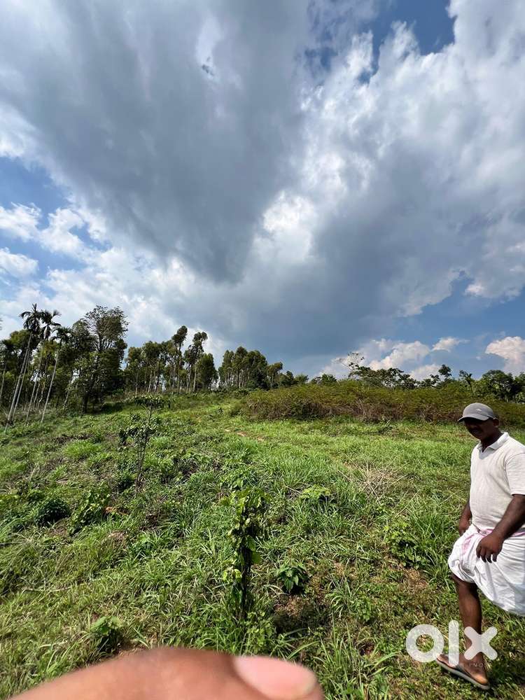 45 cent resort space for sale