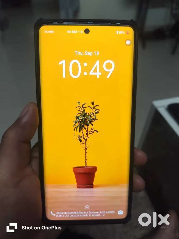 Vivo V29e 8+8 256 GB