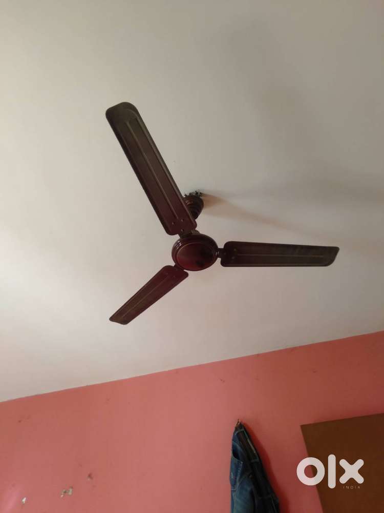 Selling Unused 1 Month Old Bajaj Ceiling Fan