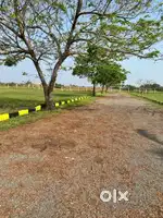 Easy Investment plots for sale