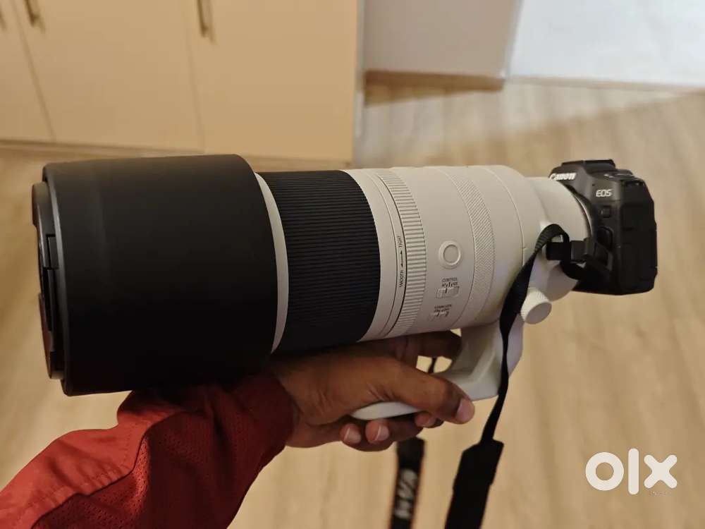 Canon R8 Full Frame Camera + Canon RF 200-800 Superzoom lens