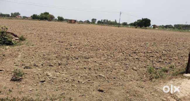 Pura 8 ikkad ka jamin hai