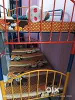 Bunk bed for kids and adult