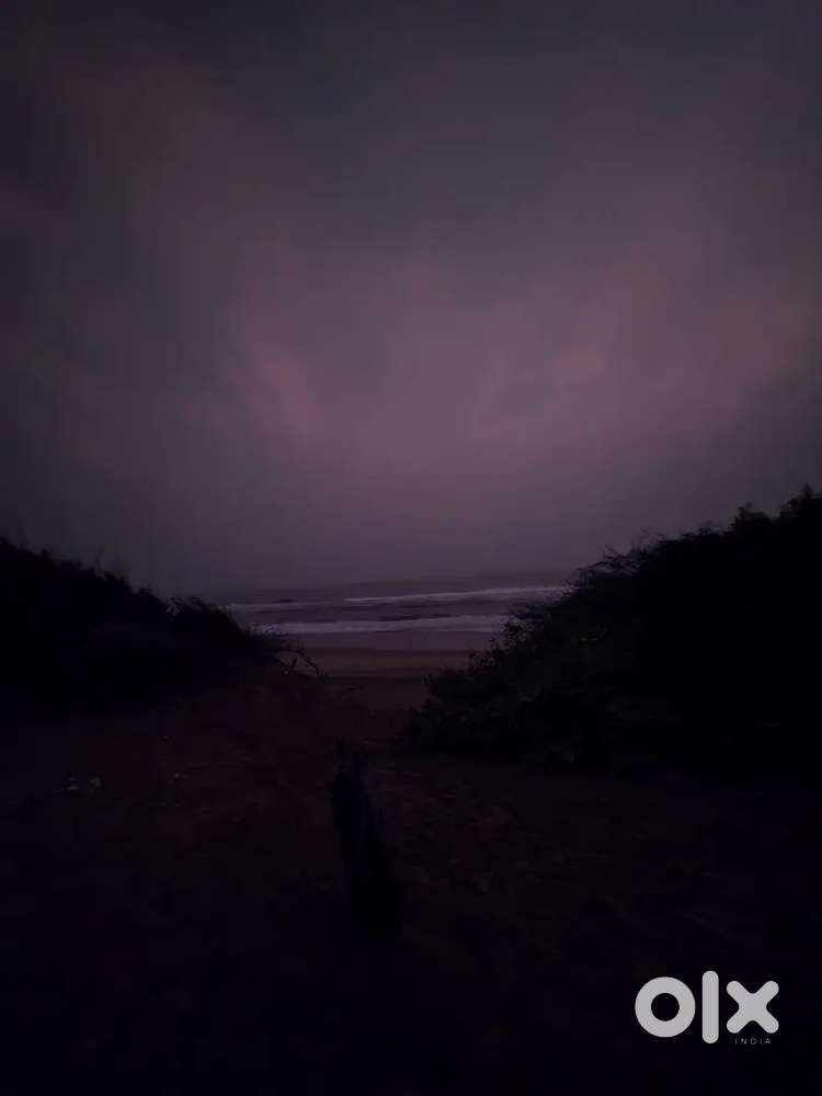 professional video editor and graphics designer