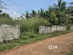 24 cent Residencial Land Kolazhy Thrissur