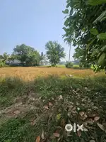 LAND FOR SALE AT KAKKANAD INFOPARK THEVAKKAL KUZHIVELIPADY