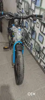 Medium Size Bicycle