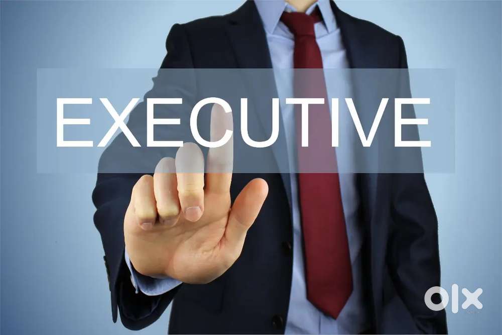 Immediate requirement for Document Collection Executive