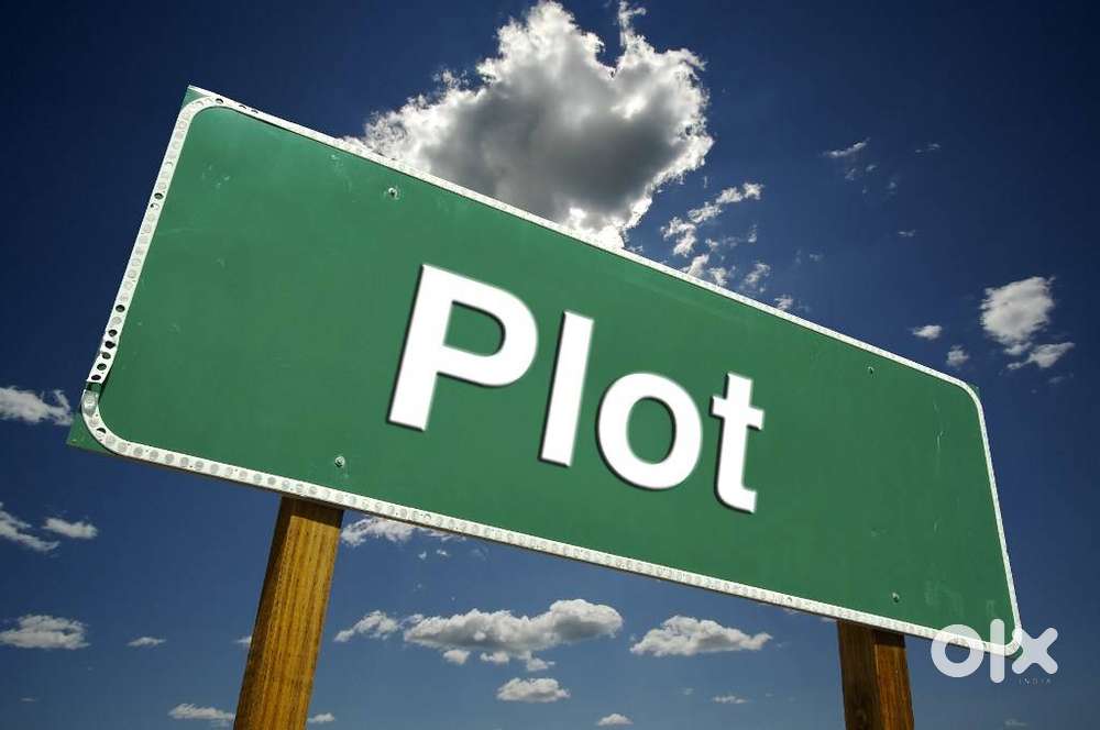 Looking for a plot in moga district