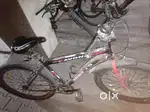 AVON company cycle for selling