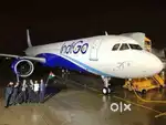 bulk hiring in Airport Ground Staff for male and female both.