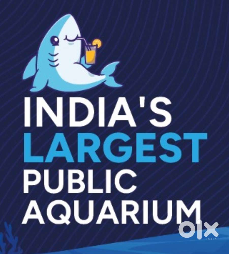 Sales Executive @Indias largest public Aquarium