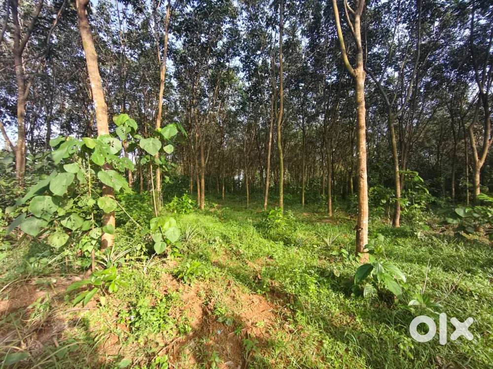2-Acre Land for Godown Development – Arackappady, Ernakulam