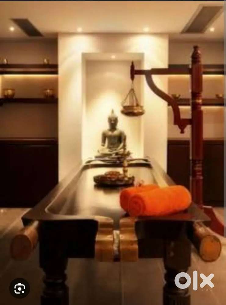 Wanted Female and Male professional Ayurvedic and western Therapist