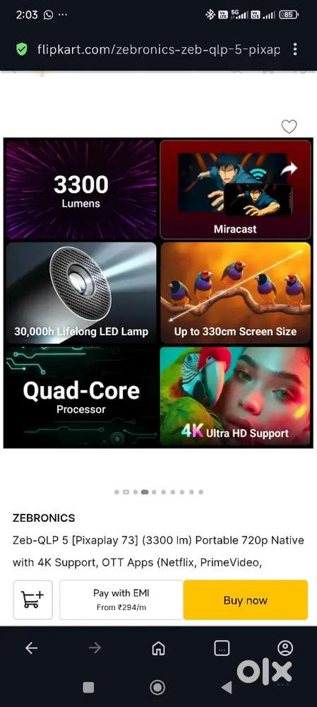 Zebronic projector