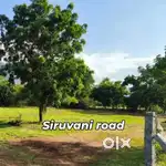 Low Budget Farmland Sale Near Siruvani Road
