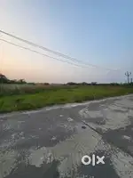 Agriculture land for sale. (Pona vigha)