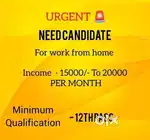 Work from home opportunity
