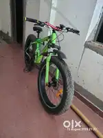 E-Friend bicycle, all modified 2 ney tires