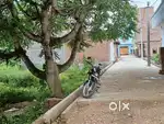 For Plot sell