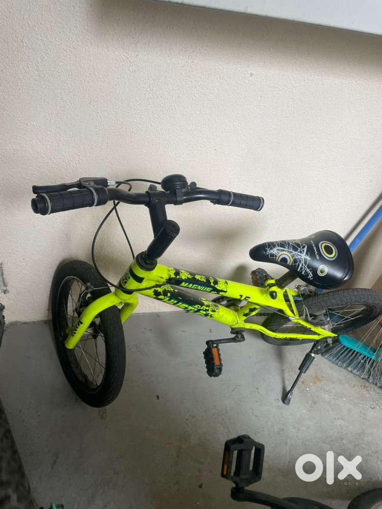 Magnus Hustle cycle well maintained