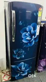 Fridges sd or dd