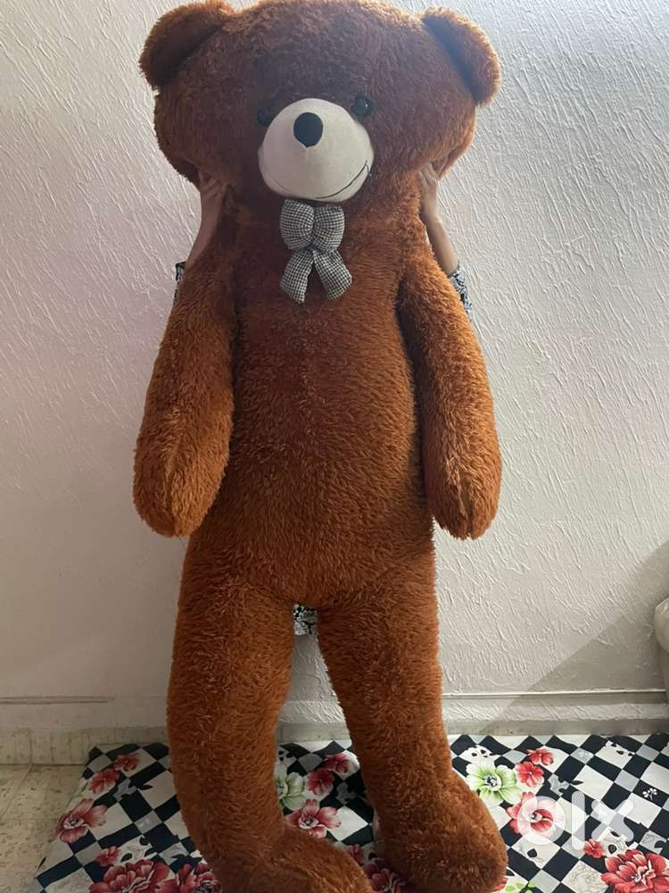 Teddy bear