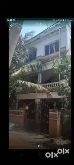1 BHK house for rent