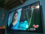 LG 43 inchi