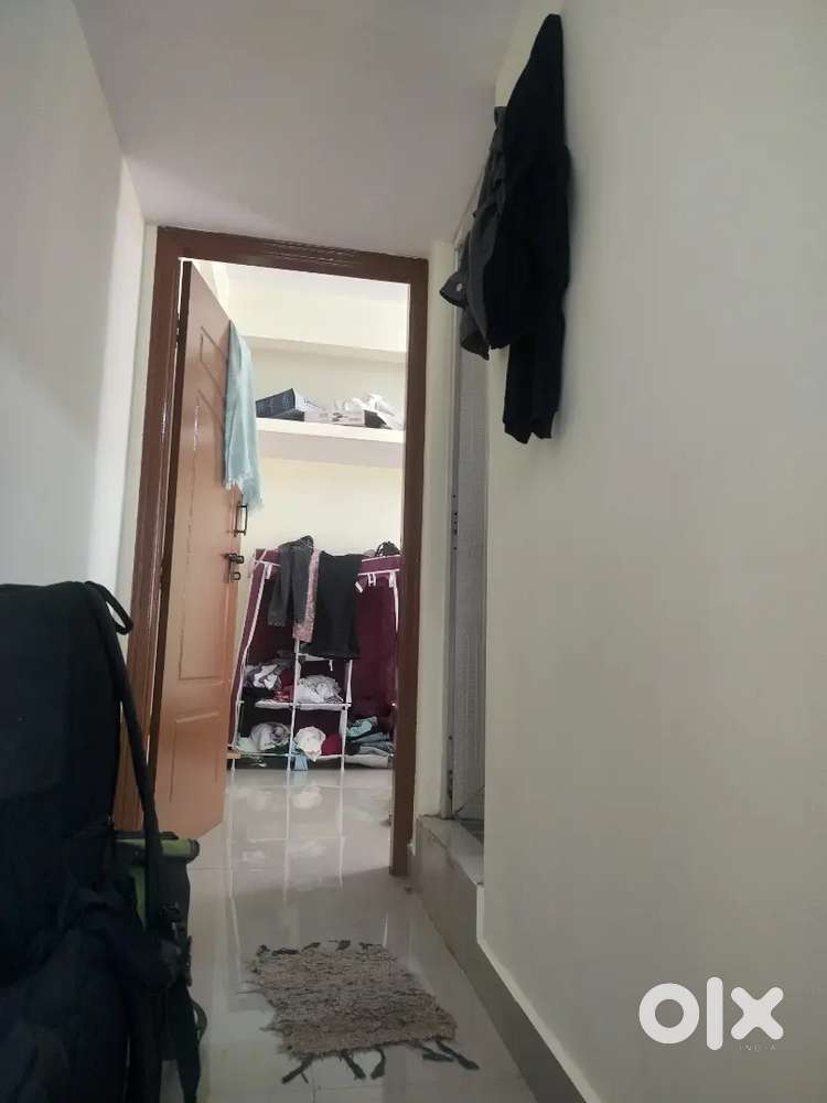 Looking for a roomate