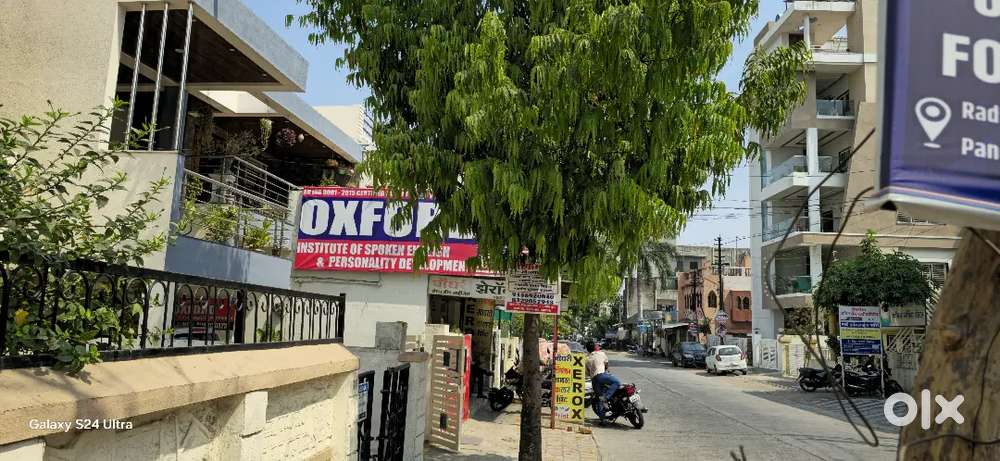 Sales & Marketing Executive