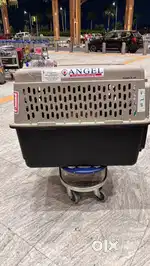 Dog cage or dag carrier in flight